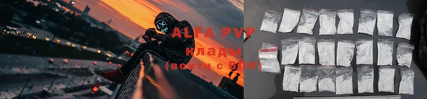 прущие грибы Яровое
