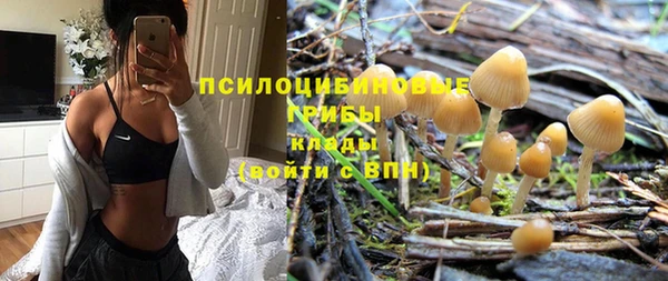 прущие грибы Яровое