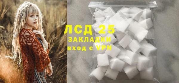 прущие грибы Яровое